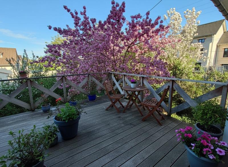 Maison - 200 m² - 8 pièces