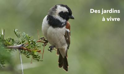 Appartement - 77 m² - 3 pièces