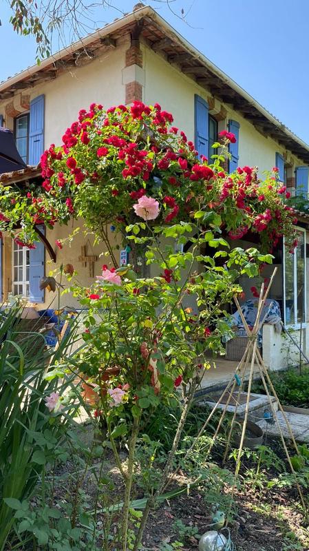 Maison ancienne - 460 m² - 22 pièces