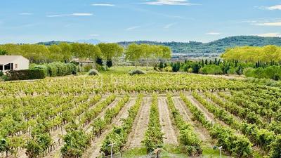 Maison en pierre - 185 m² - 9 pièces