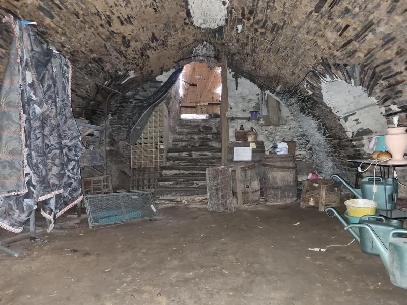 Maison ancienne - 317 m² - 11 pièces