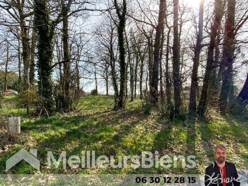 Terrain constructible - 2 100 m²