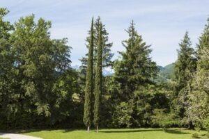 Manoir - 1 200 m² - 18 pièces