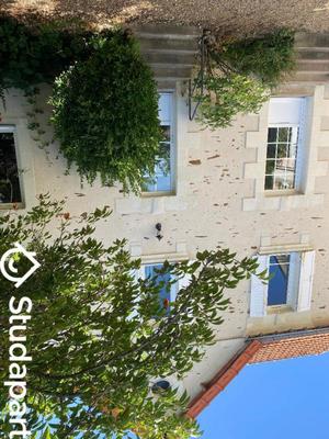 Chambre - 15 m² - 1 pièce