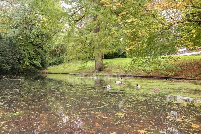 Appartement - 129 m² - 5 pièces