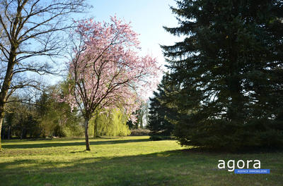 Fonds de commerce - 975 m²