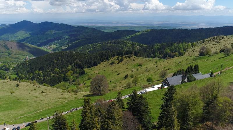 Transhumance avec la ferme auberge Buchwald