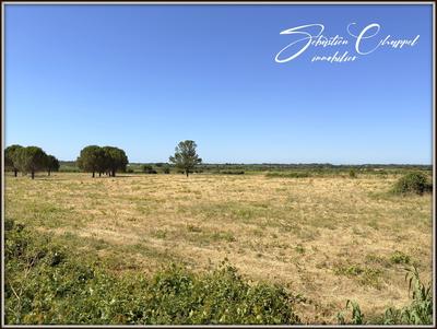 Terrain - 836 m²