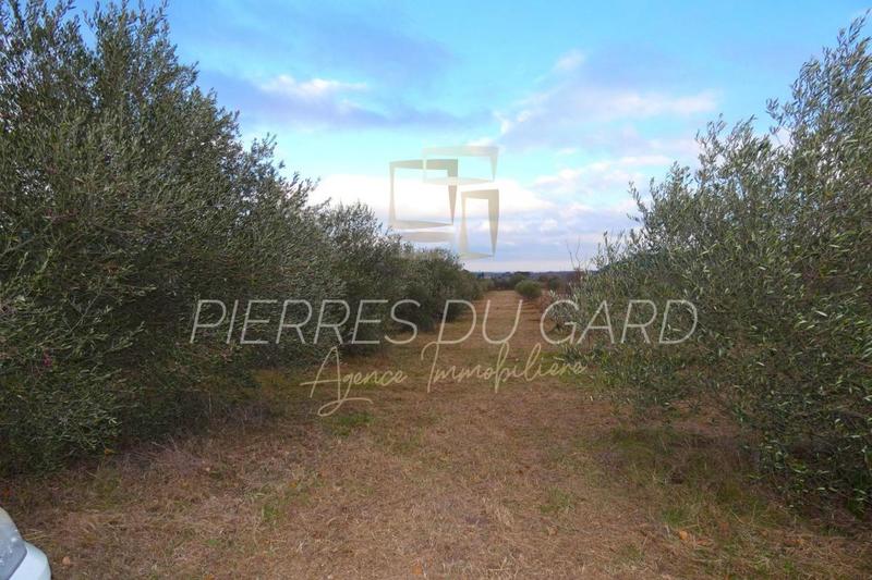 Terrain agricole - 9 299 m²