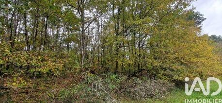 Terrain - 91 662 m²