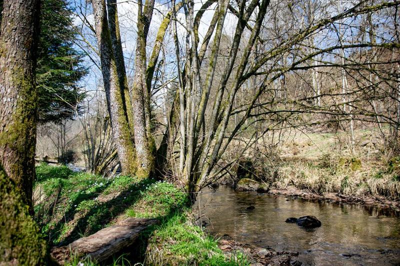 Maison - 87 m² - 5 pièces