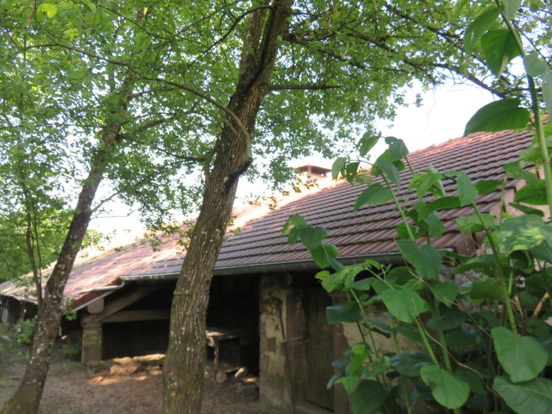 Immeuble - 450 m² - 10 pièces