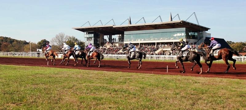 Courses hippiques premium 2026