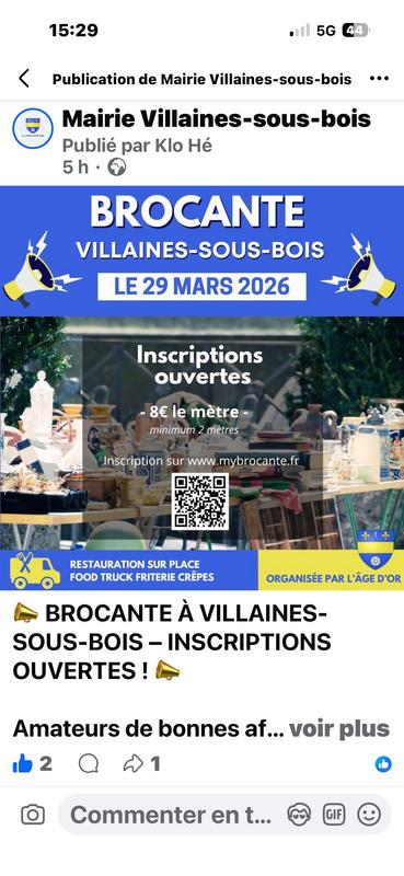 Brocante camille moureau