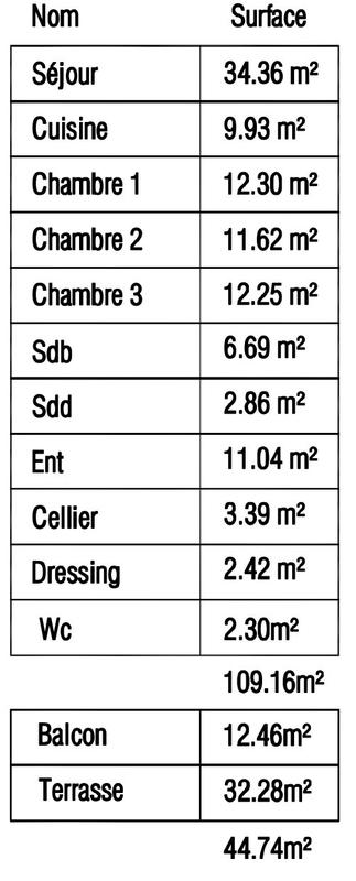 Appartement - 108 m² - 4 pièces