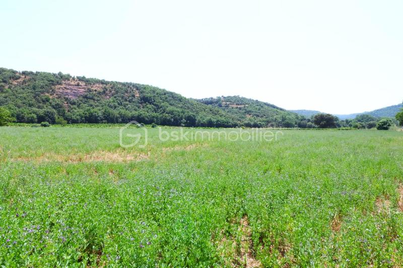Terrain agricole - 9 610 m²