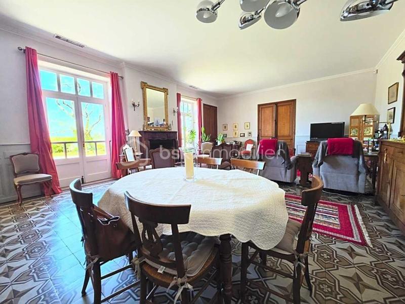 Maison - 387 m² - 10 pièces