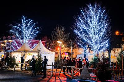 Spectacle : Cirque de Noël