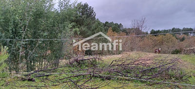 Terrain agricole - 14 279 m²