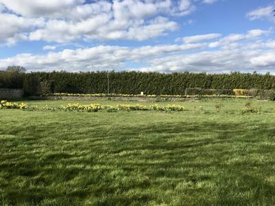 Terrain constructible - 900 m²