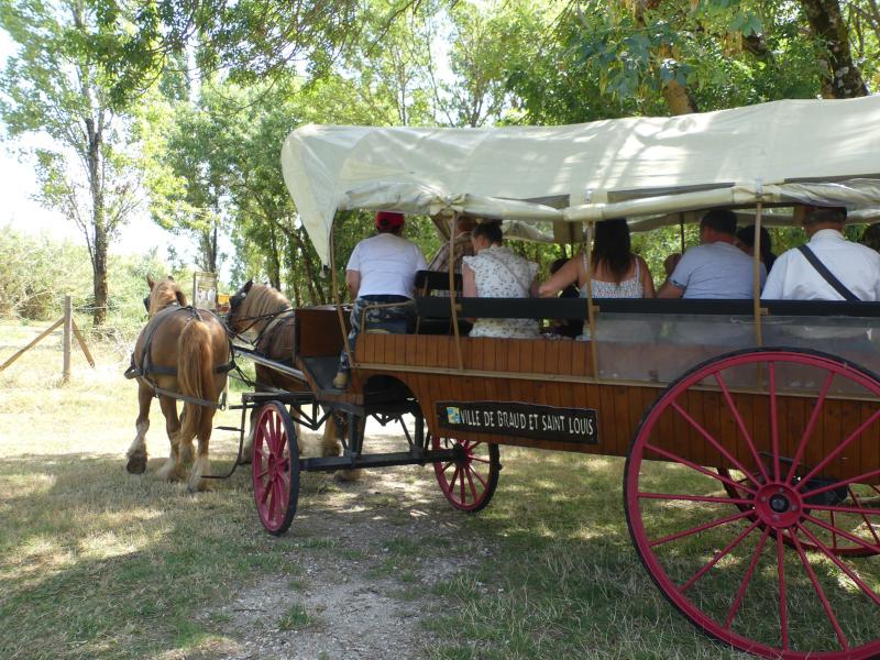 Balade en calèche à Terres d'Oiseaux