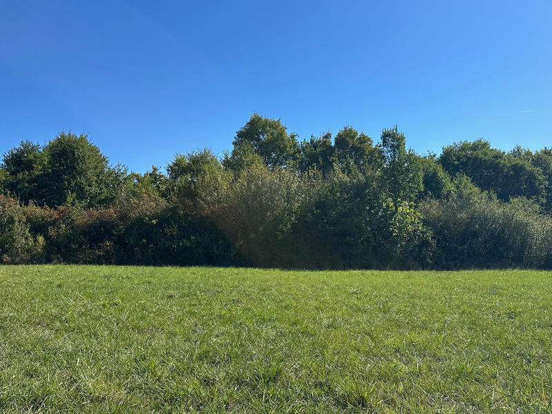 Terrain constructible - 3 777 m²