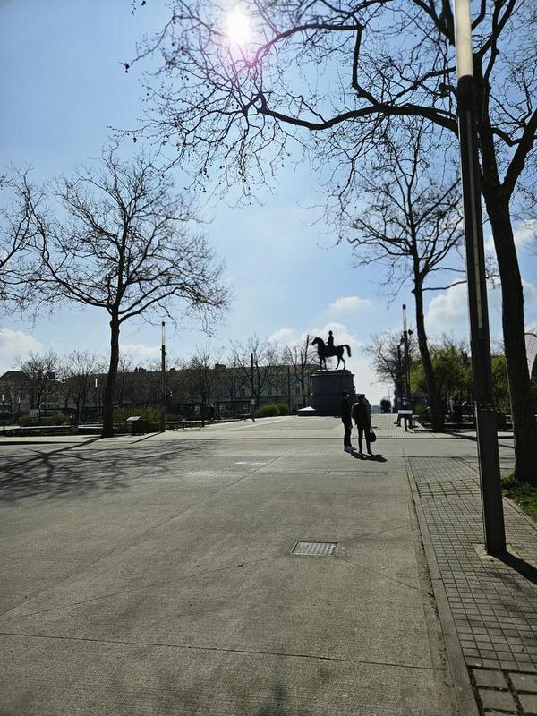 Local commercial - 513 m²