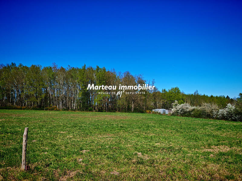 Terrain - 3 614 m²