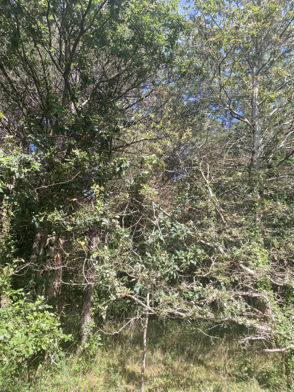 Terrain agricole - 19 300 m²