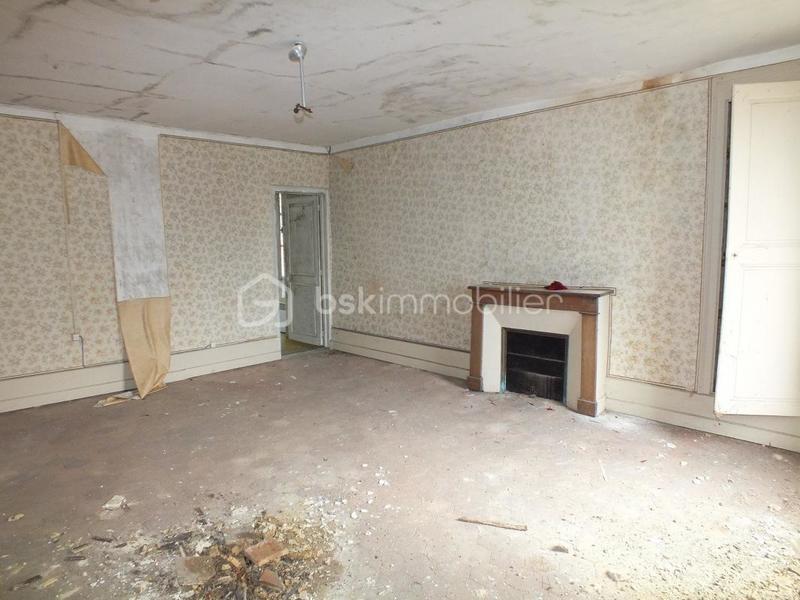 Maison de maîtres - 500 m² - 10 pièces