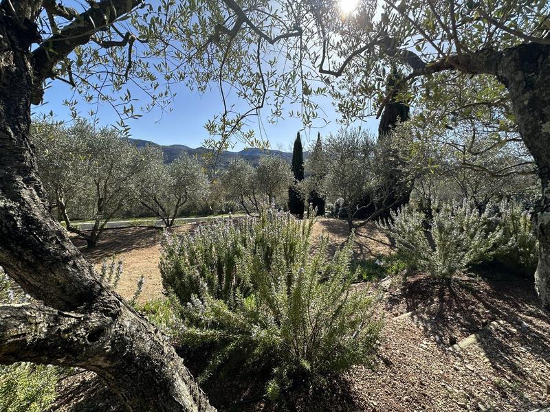 Villa - 212 m² - 6 pièces