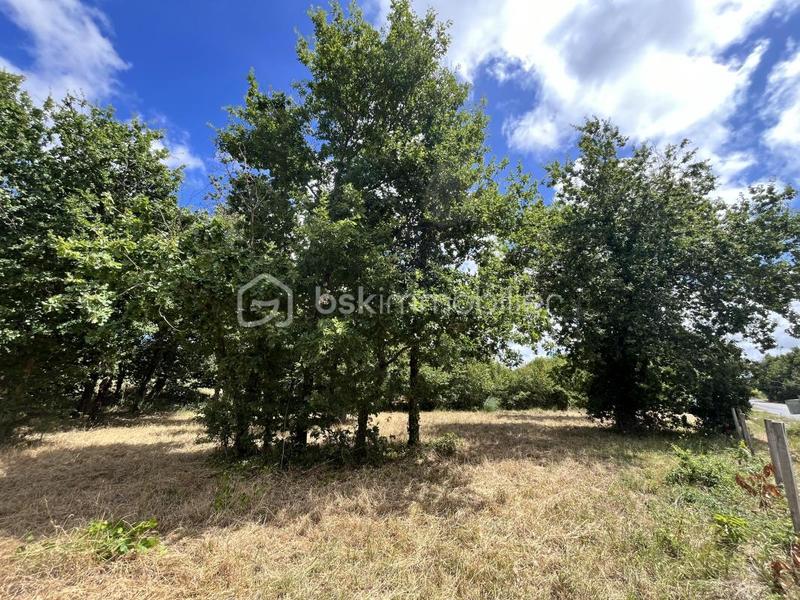 Terrain - 1 022 m²