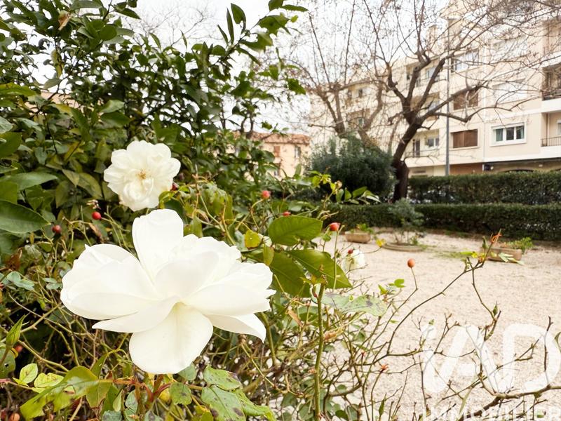 Appartement - 41 m² - 2 pièces