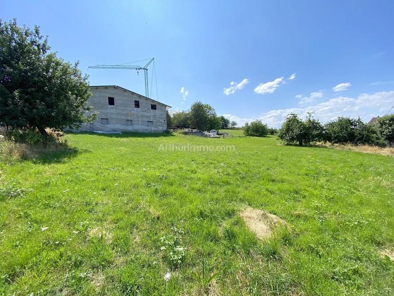 Terrain - 1 302 m²