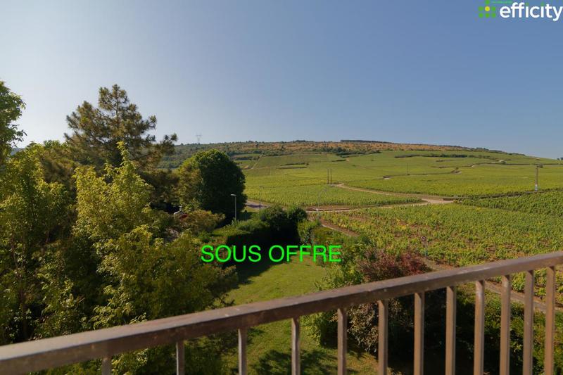 Appartement - 30 m² - 1 pièce