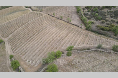 Terrain agricole - 20 250 m²