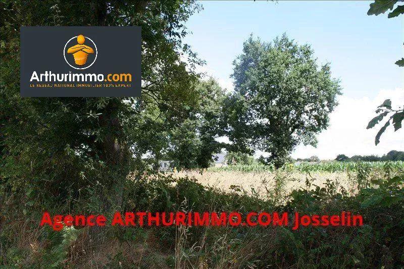 Terrain - 4 150 m²