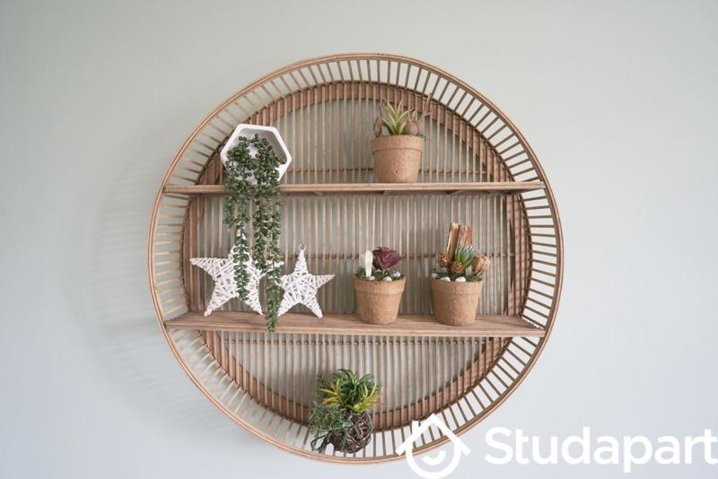 Chambre - 11 m² - 1 pièce