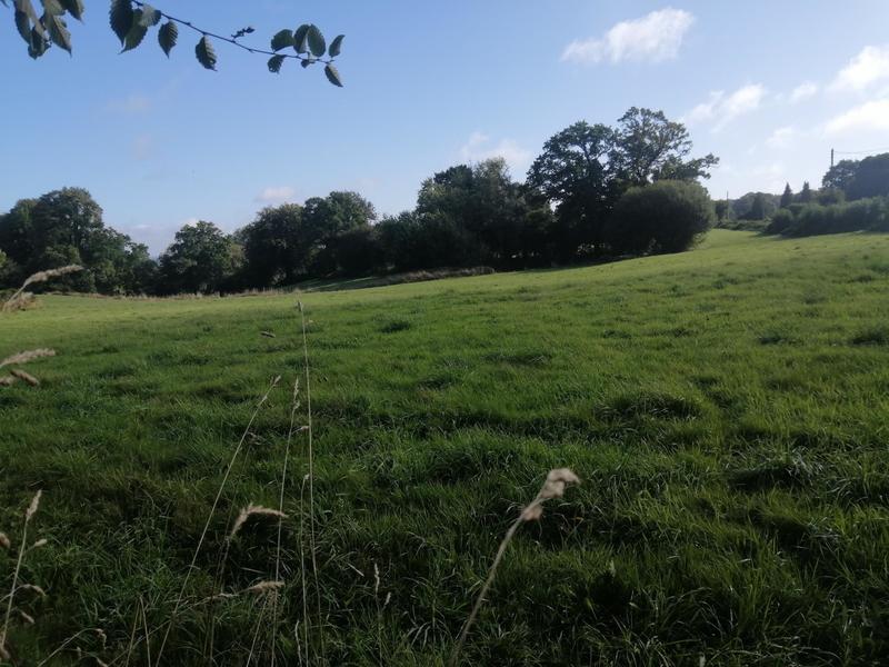 Maison de maîtres - 110 m² - 7 pièces