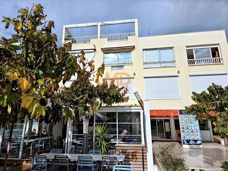 Studio - 30 m² - 1 pièce