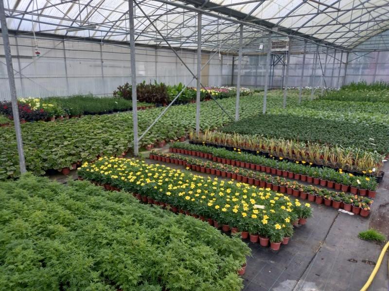 Rendez-vous aux jardins