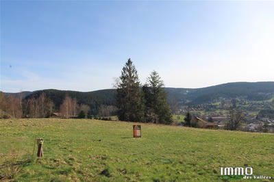 Terrain - 667 m²