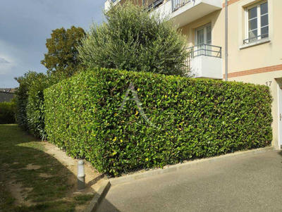 Appartement - 26 m² - 1 pièce