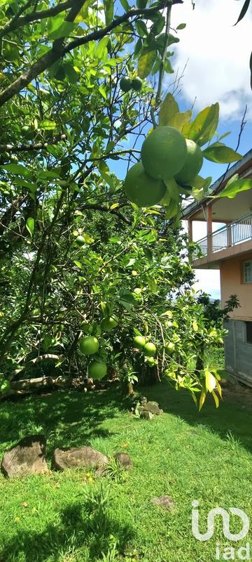 Maison - 250 m² - 9 pièces