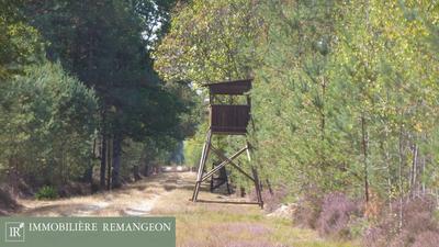 Demeure - 460 m² - 10 pièces