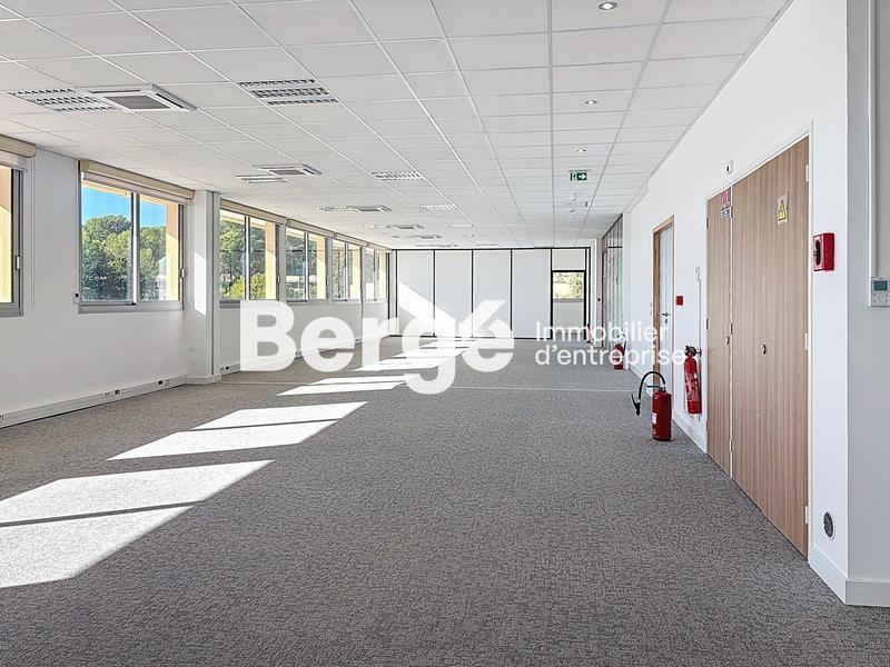 Bureau - 290 m²