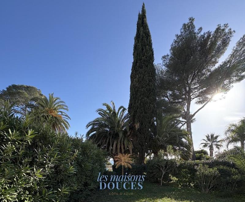 Appartement - 50 m² - 3 pièces