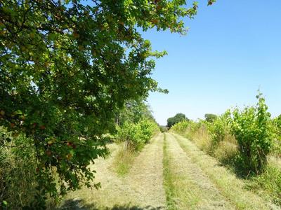 Fermette - 45 m² - 1 pièce