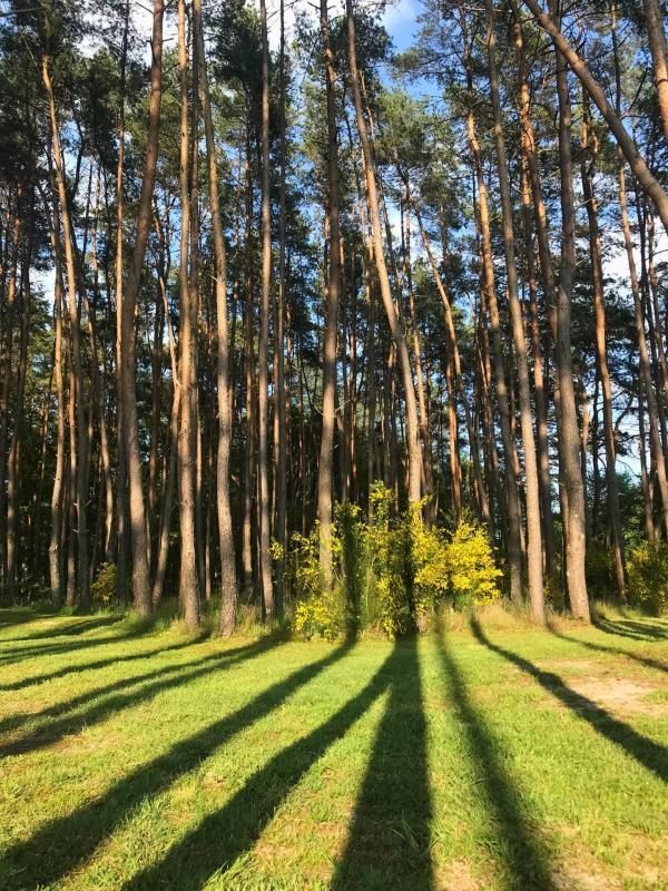 Maison - 153 m² - 6 pièces