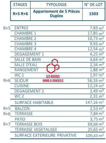 Appartement - 147 m² - 5 pièces